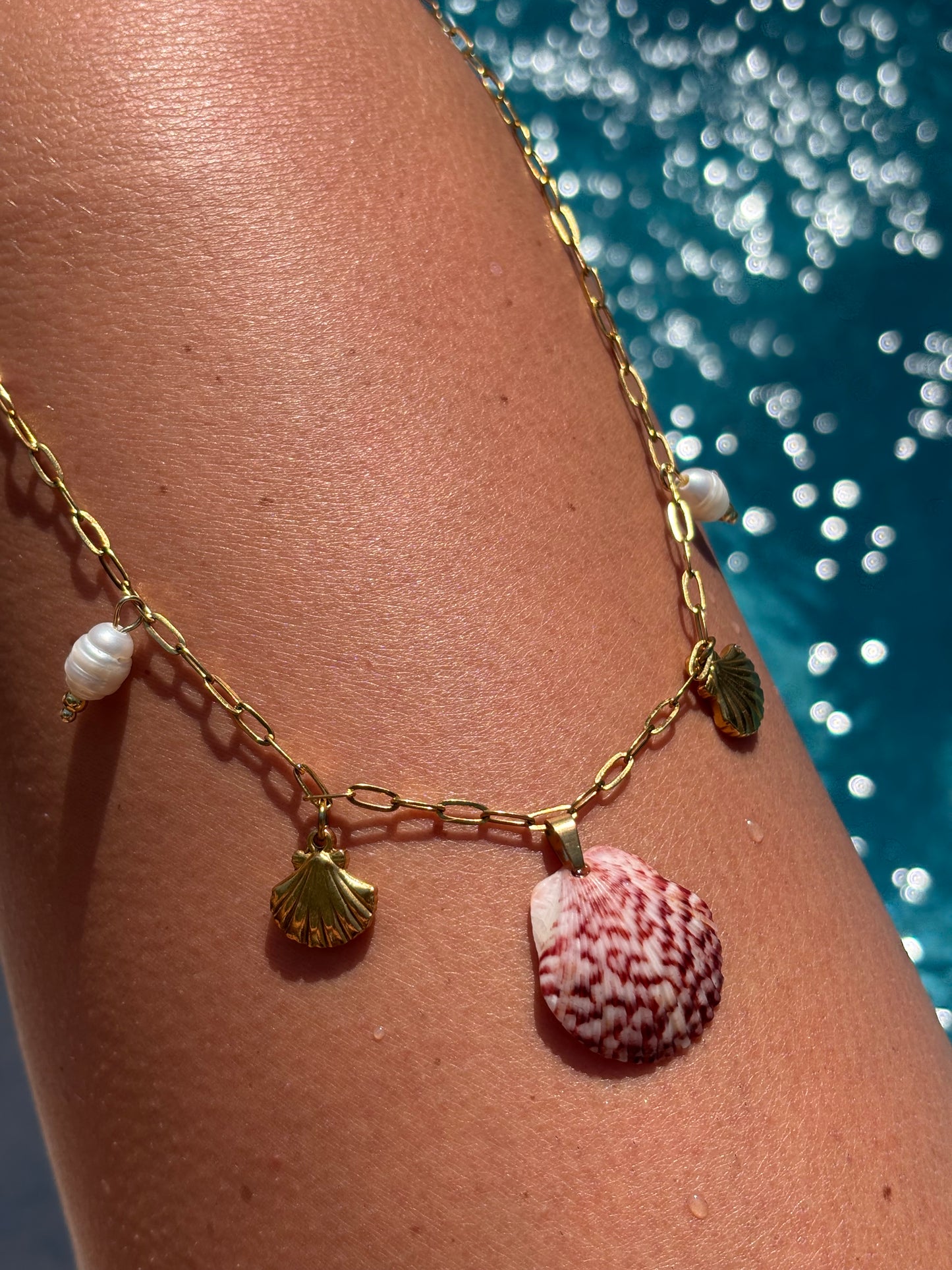 The Scallop Charm Necklace