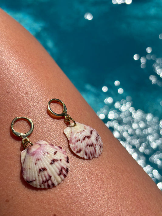 Scallop Earrings